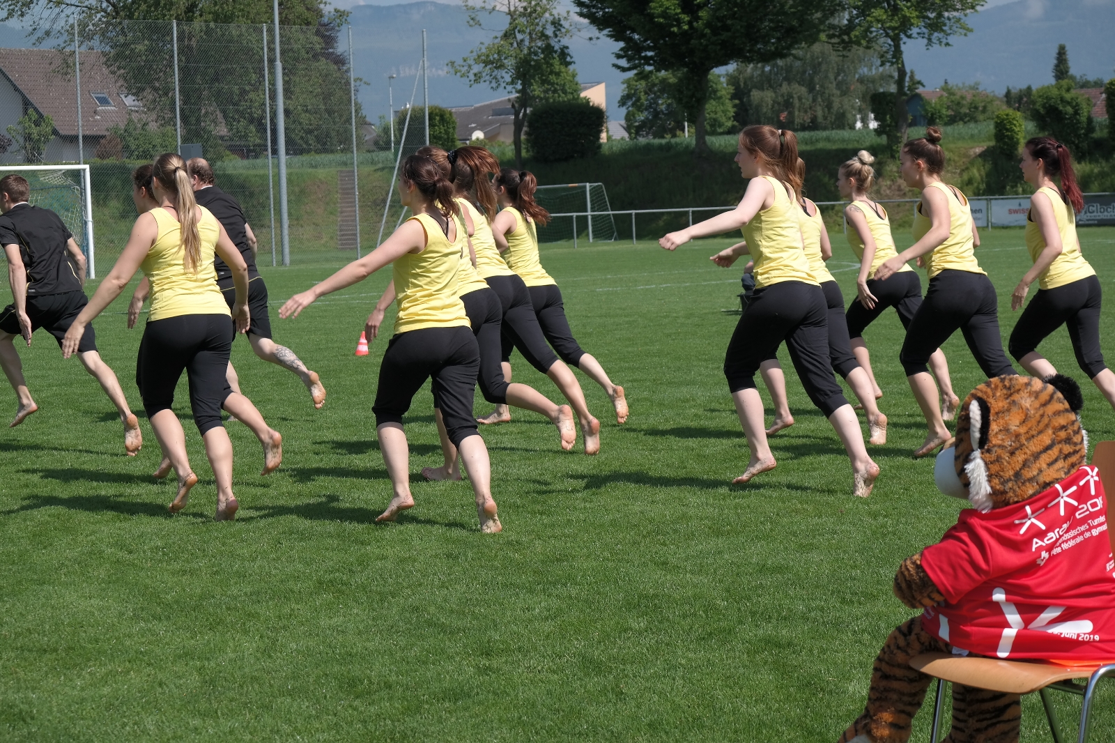 Bild 1 (207)